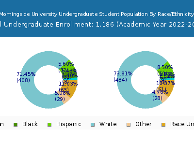 Morningside University 2023 Undergraduate Enrollment by Gender and Race chart