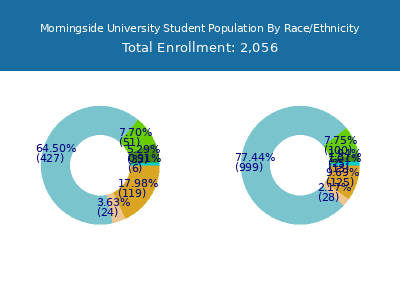 Morningside University 2025 Student Population by Gender and Race chart