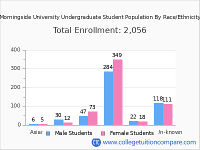 Morningside University 2025 Undergraduate Enrollment by Gender and Race chart