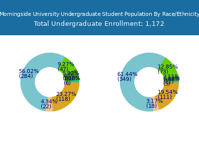 Morningside University 2025 Undergraduate Enrollment by Gender and Race chart