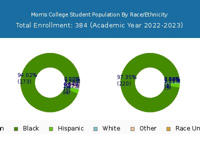 Morris College 2023 Student Population by Gender and Race chart