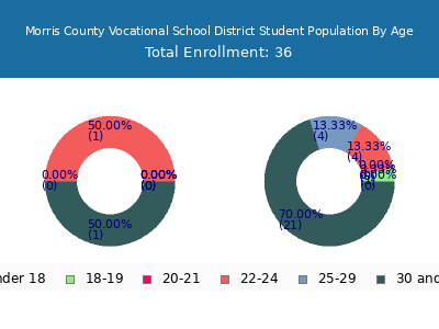 Morris County Vocational School District 2024 Student Population Age Diversity Pie chart