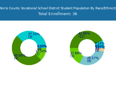 Morris County Vocational School District 2025 Student Population by Gender and Race chart