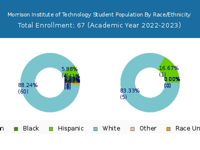 Morrison Institute of Technology 2023 Student Population by Gender and Race chart