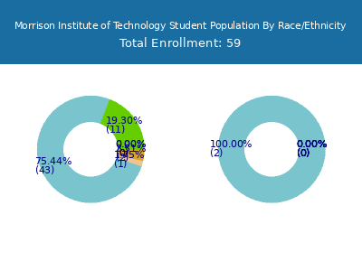 Morrison Institute of Technology 2025 Student Population by Gender and Race chart