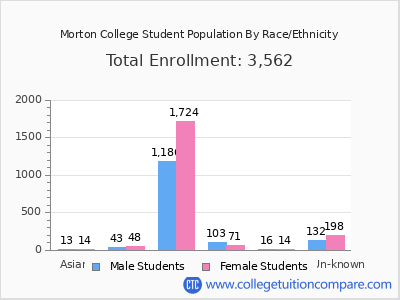 Morton College 2025 Student Population by Gender and Race chart