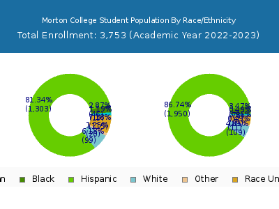 Morton College 2023 Student Population by Gender and Race chart