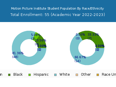 Motion Picture Institute 2023 Student Population by Gender and Race chart