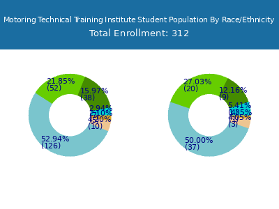 Motoring Technical Training Institute 2025 Student Population by Gender and Race chart