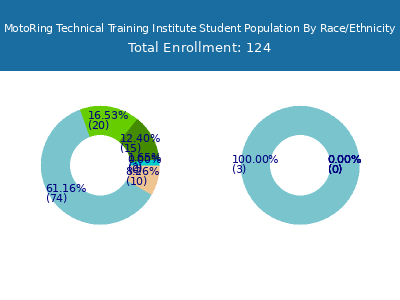 MotoRing Technical Training Institute 2025 Student Population by Gender and Race chart