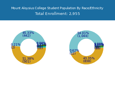 Mount Aloysius College 2025 Student Population by Gender and Race chart