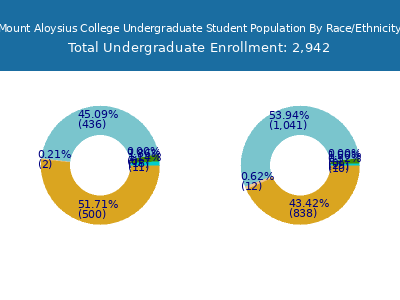 Mount Aloysius College 2025 Undergraduate Enrollment by Gender and Race chart