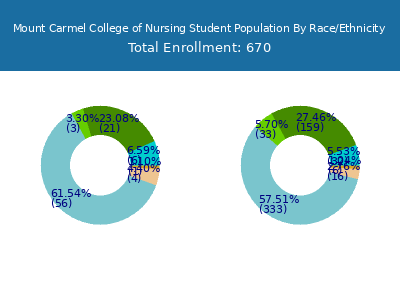 Mount Carmel College of Nursing 2025 Student Population by Gender and Race chart