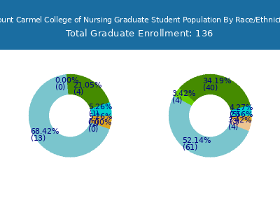 Mount Carmel College of Nursing 2025 Graduate Enrollment by Gender and Race chart