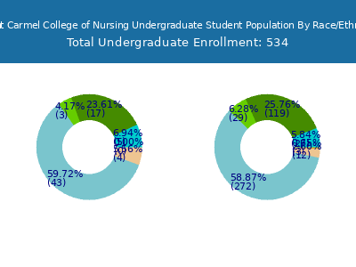 Mount Carmel College of Nursing 2025 Undergraduate Enrollment by Gender and Race chart