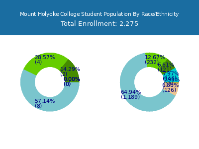 Mount Holyoke College 2025 Student Population by Gender and Race chart