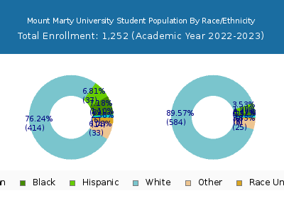 Mount Marty University 2023 Student Population by Gender and Race chart