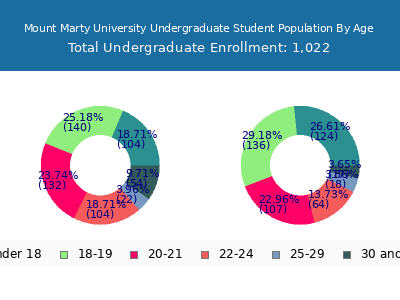 Mount Marty University 2025 Undergraduate Enrollment Age Diversity Pie chart