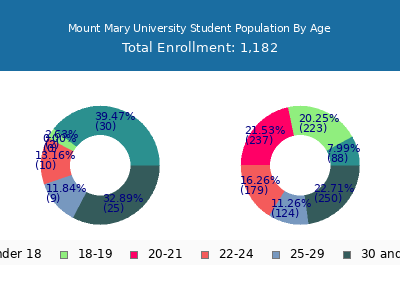 Mount Mary University 2025 Student Population Age Diversity Pie chart