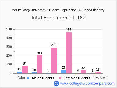 Mount Mary University 2025 Student Population by Gender and Race chart
