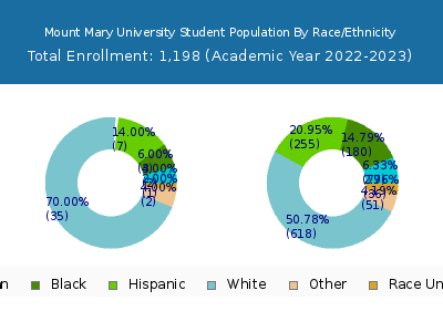 Mount Mary University 2023 Student Population by Gender and Race chart