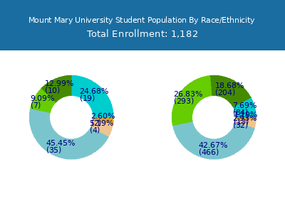 Mount Mary University 2025 Student Population by Gender and Race chart