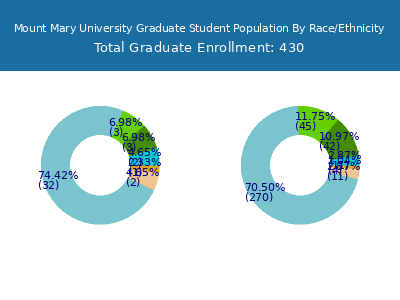 Mount Mary University 2025 Graduate Enrollment by Gender and Race chart
