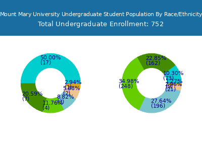 Mount Mary University 2025 Undergraduate Enrollment by Gender and Race chart