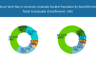 Mount Saint Mary's University 2025 Graduate Enrollment by Gender and Race chart