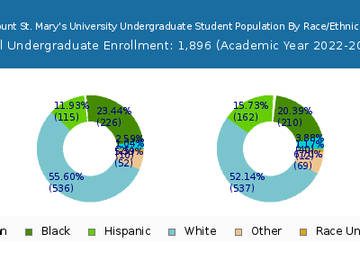 Mount St. Mary's University 2023 Undergraduate Enrollment by Gender and Race chart