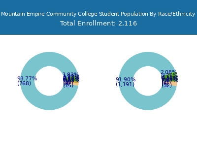 Mountain Empire Community College 2025 Student Population by Gender and Race chart