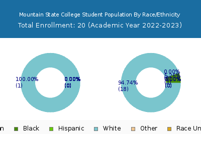 Mountain State College 2023 Student Population by Gender and Race chart