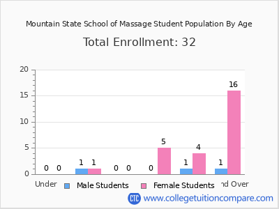 Mountain State School of Massage 2024 Student Population by Age chart
