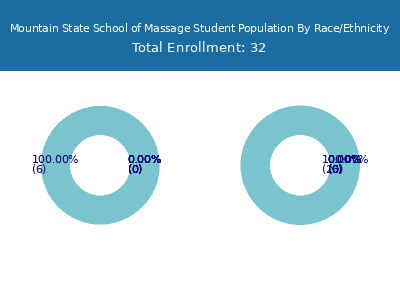 Mountain State School of Massage 2025 Student Population by Gender and Race chart