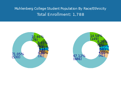 Muhlenberg College 2025 Student Population by Gender and Race chart