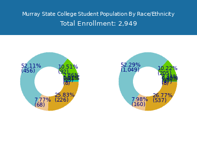 Murray State College 2025 Student Population by Gender and Race chart