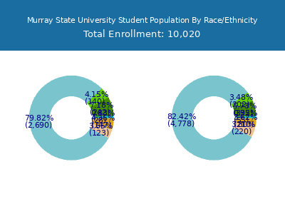 Murray State University 2025 Student Population by Gender and Race chart