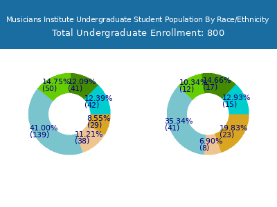 Musicians Institute 2025 Undergraduate Enrollment by Gender and Race chart