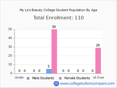 My Le's Beauty College 2024 Student Population by Age chart