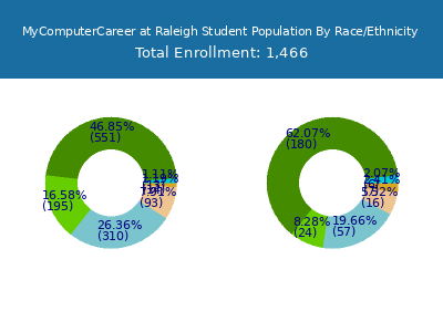 MyComputerCareer at Raleigh 2025 Student Population by Gender and Race chart