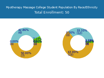 Myotherapy Massage College 2025 Student Population by Gender and Race chart