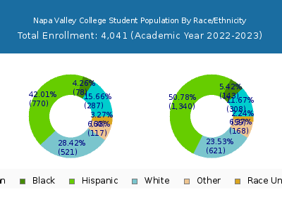 Napa Valley College 2023 Student Population by Gender and Race chart