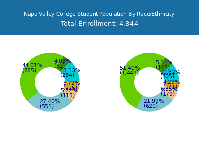 Napa Valley College 2025 Student Population by Gender and Race chart