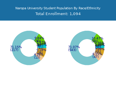 Naropa University 2025 Student Population by Gender and Race chart