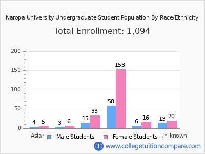 Naropa University 2025 Undergraduate Enrollment by Gender and Race chart