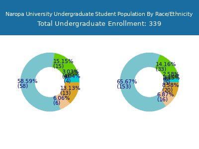 Naropa University 2025 Undergraduate Enrollment by Gender and Race chart