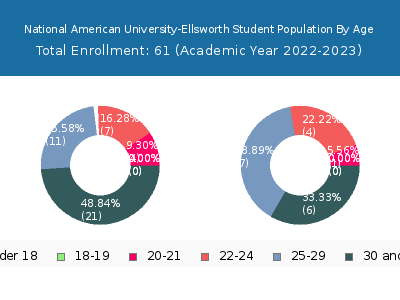 National American University-Ellsworth 2023 Student Population Age Diversity Pie chart