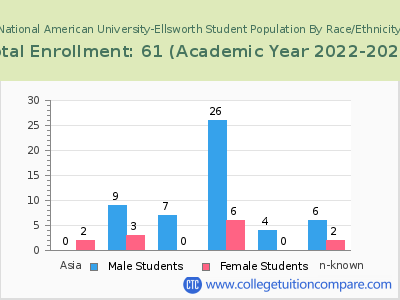 National American University-Ellsworth 2023 Student Population by Gender and Race chart