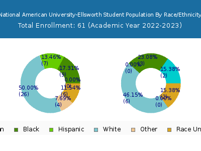 National American University-Ellsworth 2023 Student Population by Gender and Race chart