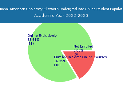 National American University-Ellsworth 2023 Online Student Population chart